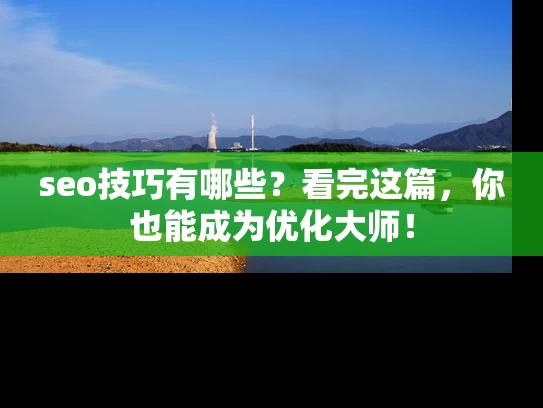 seo技巧有哪些？看完这篇，你也能成为优化大师！