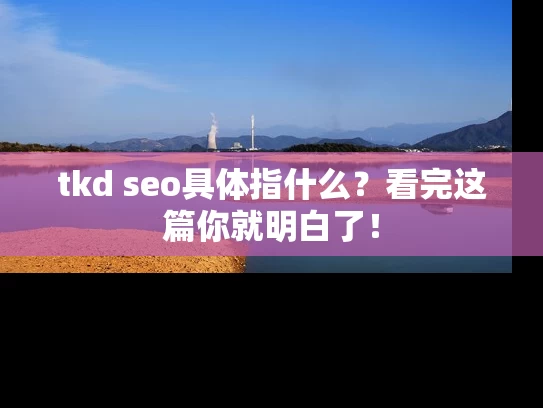 tkd seo具体指什么？看完这篇你就明白了！