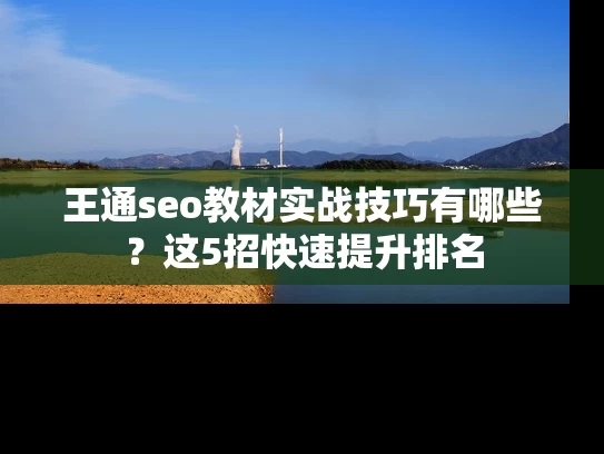 王通seo教材实战技巧有哪些？这5招快速提升排名