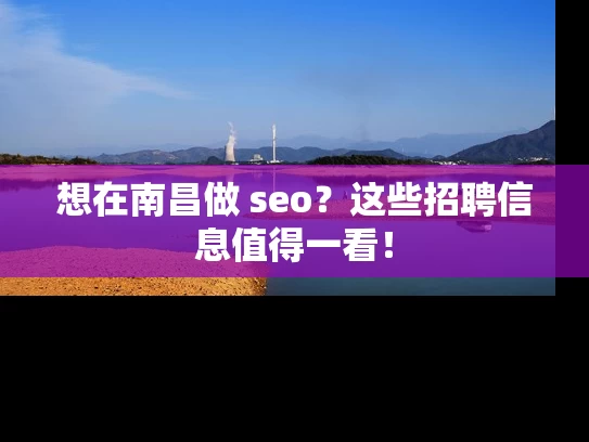 想在南昌做 seo？这些招聘信息值得一看！