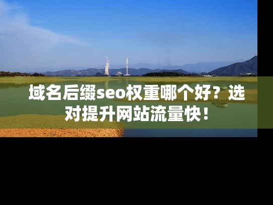 域名后缀seo权重哪个好？选对提升网站流量快！