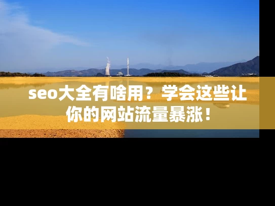 seo大全有啥用？学会这些让你的网站流量暴涨！
