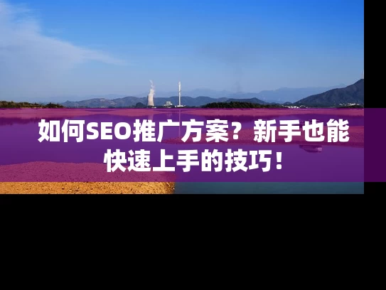 如何SEO推广方案？新手也能快速上手的技巧！