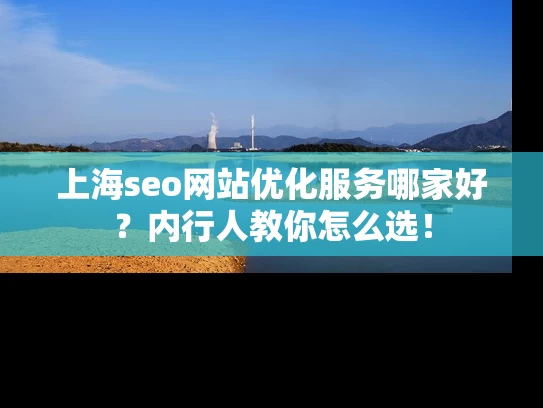 上海seo网站优化服务哪家好？内行人教你怎么选！