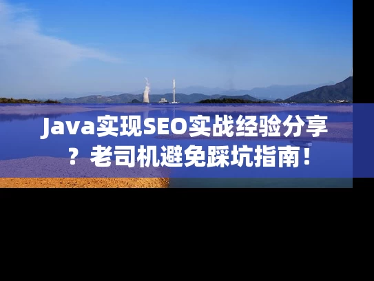 Java实现SEO实战经验分享？老司机避免踩坑指南！