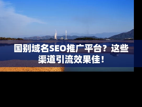 国别域名SEO推广平台？这些渠道引流效果佳！