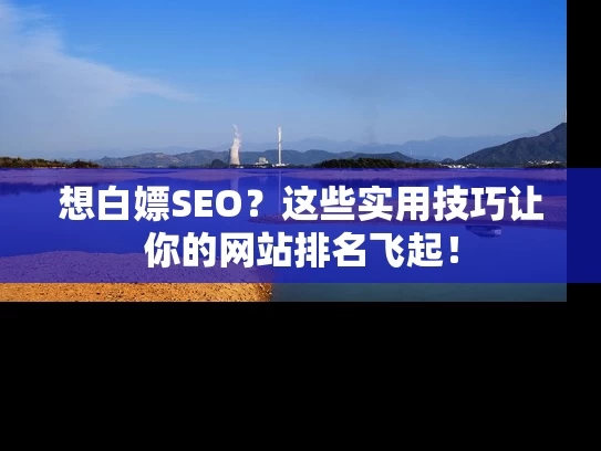 想白嫖SEO？这些实用技巧让你的网站排名飞起！