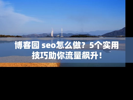 博客园 seo怎么做？5个实用技巧助你流量飙升！