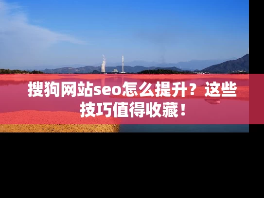 搜狗网站seo怎么提升？这些技巧值得收藏！