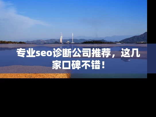 专业seo诊断公司推荐，这几家口碑不错！