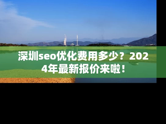 深圳seo优化费用多少？2024年最新报价来啦！