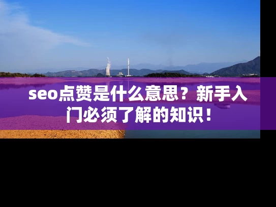 seo点赞是什么意思？新手入门必须了解的知识！