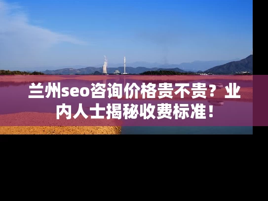 兰州seo咨询价格贵不贵？业内人士揭秘收费标准！