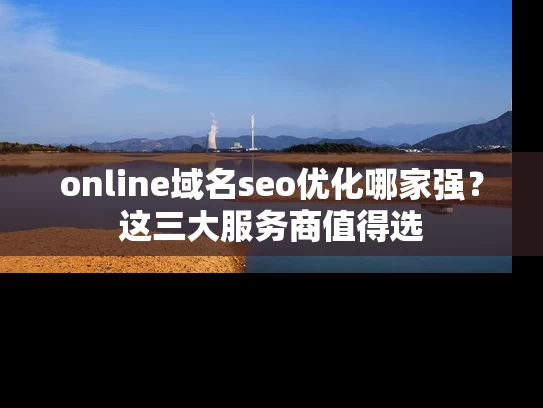 online域名seo优化哪家强？这三大服务商值得选