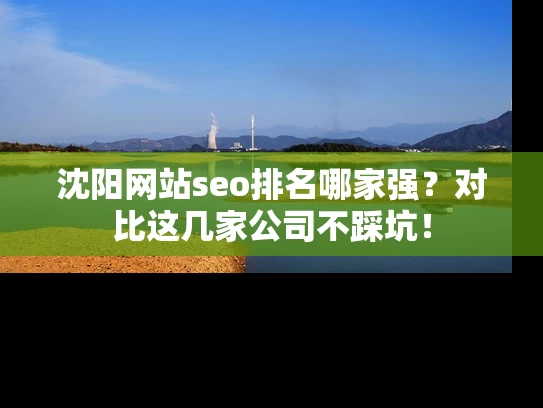 沈阳网站seo排名哪家强？对比这几家公司不踩坑！