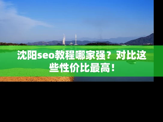 沈阳seo教程哪家强？对比这些性价比最高！