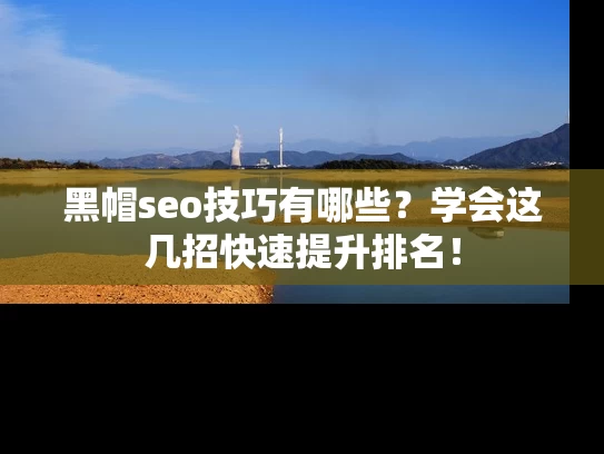 黑帽seo技巧有哪些？学会这几招快速提升排名！