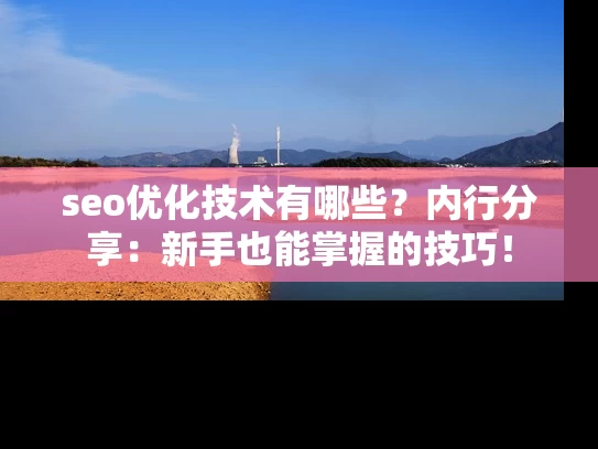 seo优化技术有哪些？内行分享：新手也能掌握的技巧！