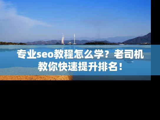 专业seo教程怎么学？老司机教你快速提升排名！