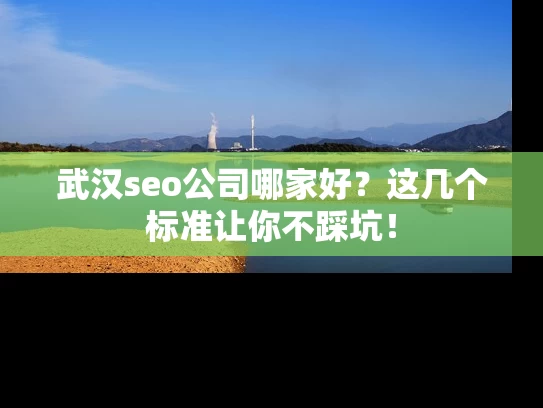 武汉seo公司哪家好？这几个标准让你不踩坑！