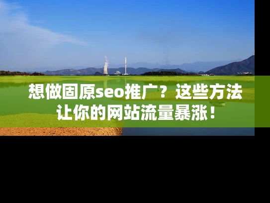 想做固原seo推广？这些方法让你的网站流量暴涨！