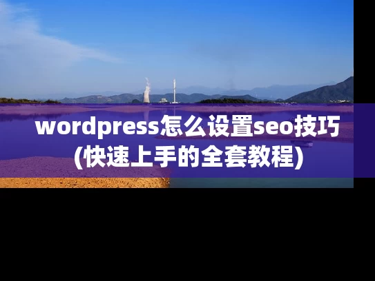 wordpress怎么设置seo技巧(快速上手的全套教程)
