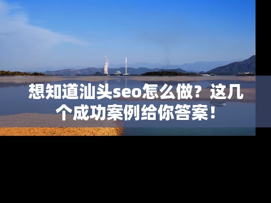 想知道汕头seo怎么做？这几个成功案例给你答案！