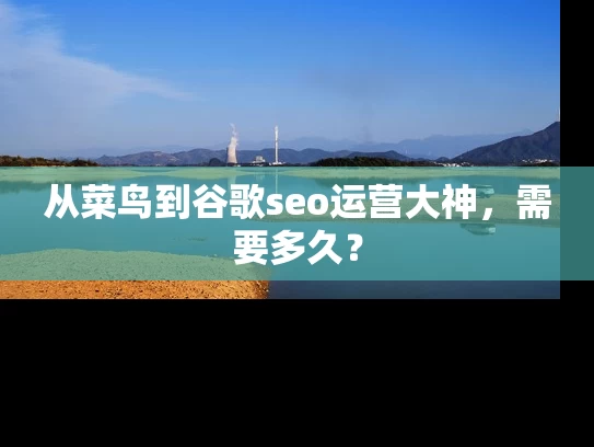 从菜鸟到谷歌seo运营大神，需要多久？