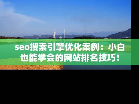 seo搜索引擎优化案例：小白也能学会的网站排名技巧！