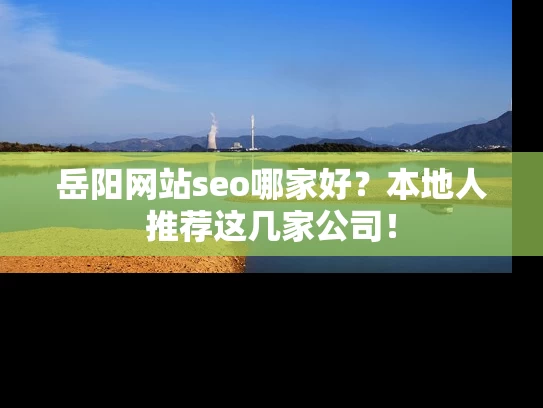 岳阳网站seo哪家好？本地人推荐这几家公司！