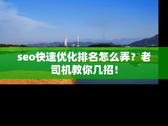 seo快速优化排名怎么弄？老司机教你几招！
