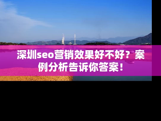 深圳seo营销效果好不好？案例分析告诉你答案！