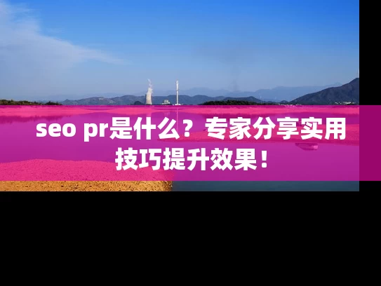 seo pr是什么？专家分享实用技巧提升效果！