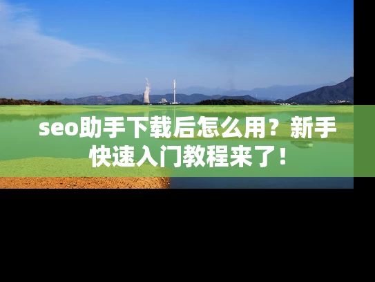 seo助手下载后怎么用？新手快速入门教程来了！