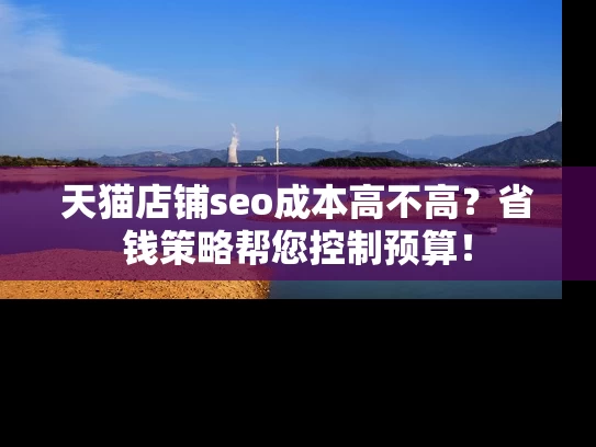 天猫店铺seo成本高不高？省钱策略帮您控制预算！