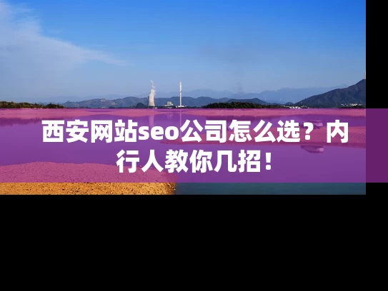 西安网站seo公司怎么选？内行人教你几招！