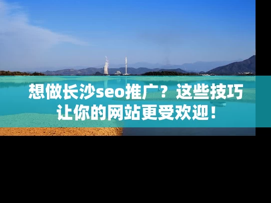 想做长沙seo推广？这些技巧让你的网站更受欢迎！