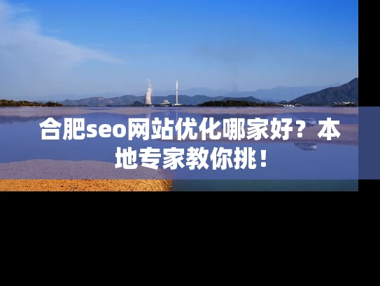 合肥seo网站优化哪家好？本地专家教你挑！