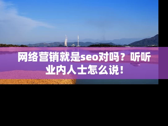 网络营销就是seo对吗？听听业内人士怎么说！