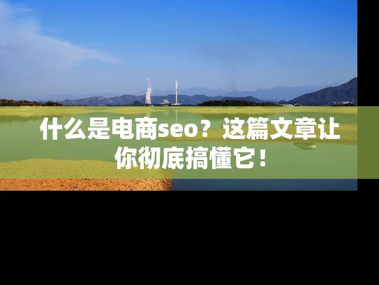 什么是电商seo？这篇文章让你彻底搞懂它！