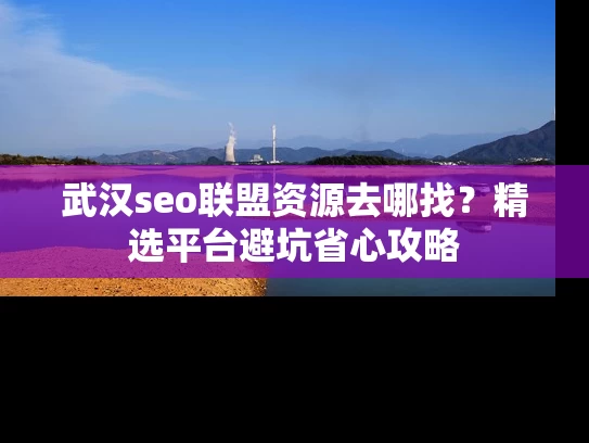 武汉seo联盟资源去哪找？精选平台避坑省心攻略
