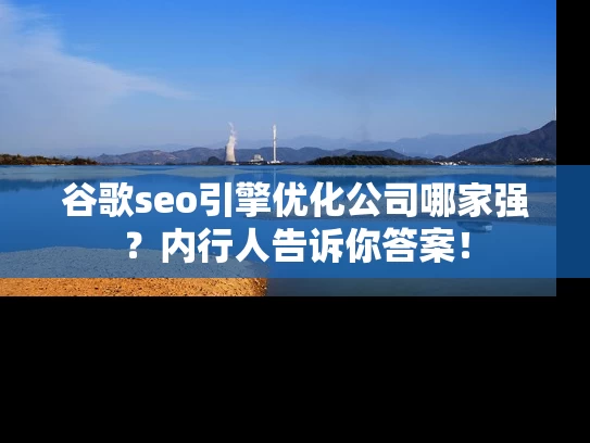 谷歌seo引擎优化公司哪家强？内行人告诉你答案！