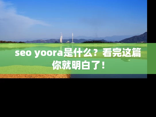 seo yoora是什么？看完这篇你就明白了！