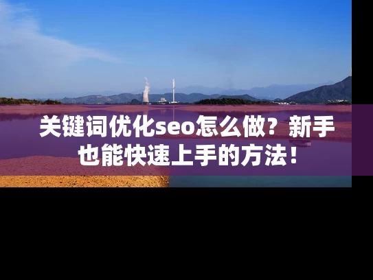 关键词优化seo怎么做？新手也能快速上手的方法！