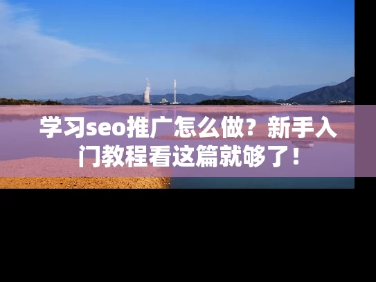 学习seo推广怎么做？新手入门教程看这篇就够了！