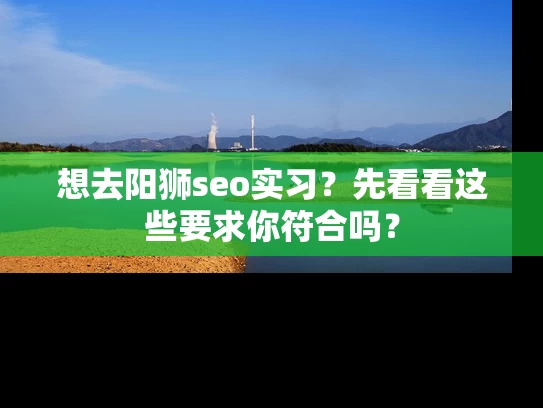 想去阳狮seo实习？先看看这些要求你符合吗？