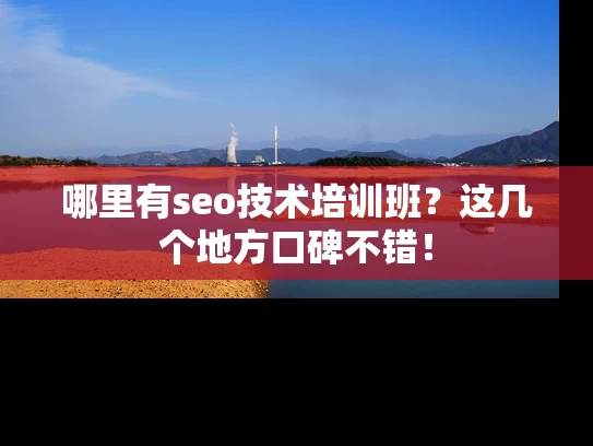 哪里有seo技术培训班？这几个地方口碑不错！