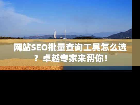 网站SEO批量查询工具怎么选？卓越专家来帮你！