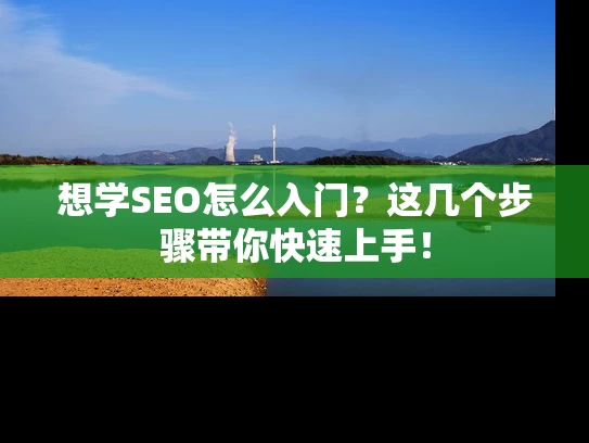 想学SEO怎么入门？这几个步骤带你快速上手！