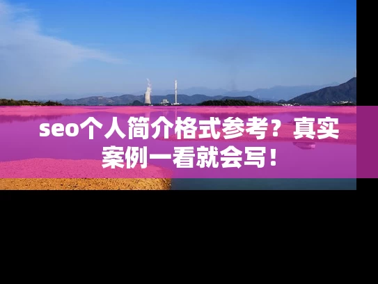 seo个人简介格式参考？真实案例一看就会写！